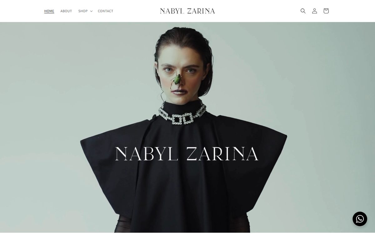 Nabyl Zarina homepage