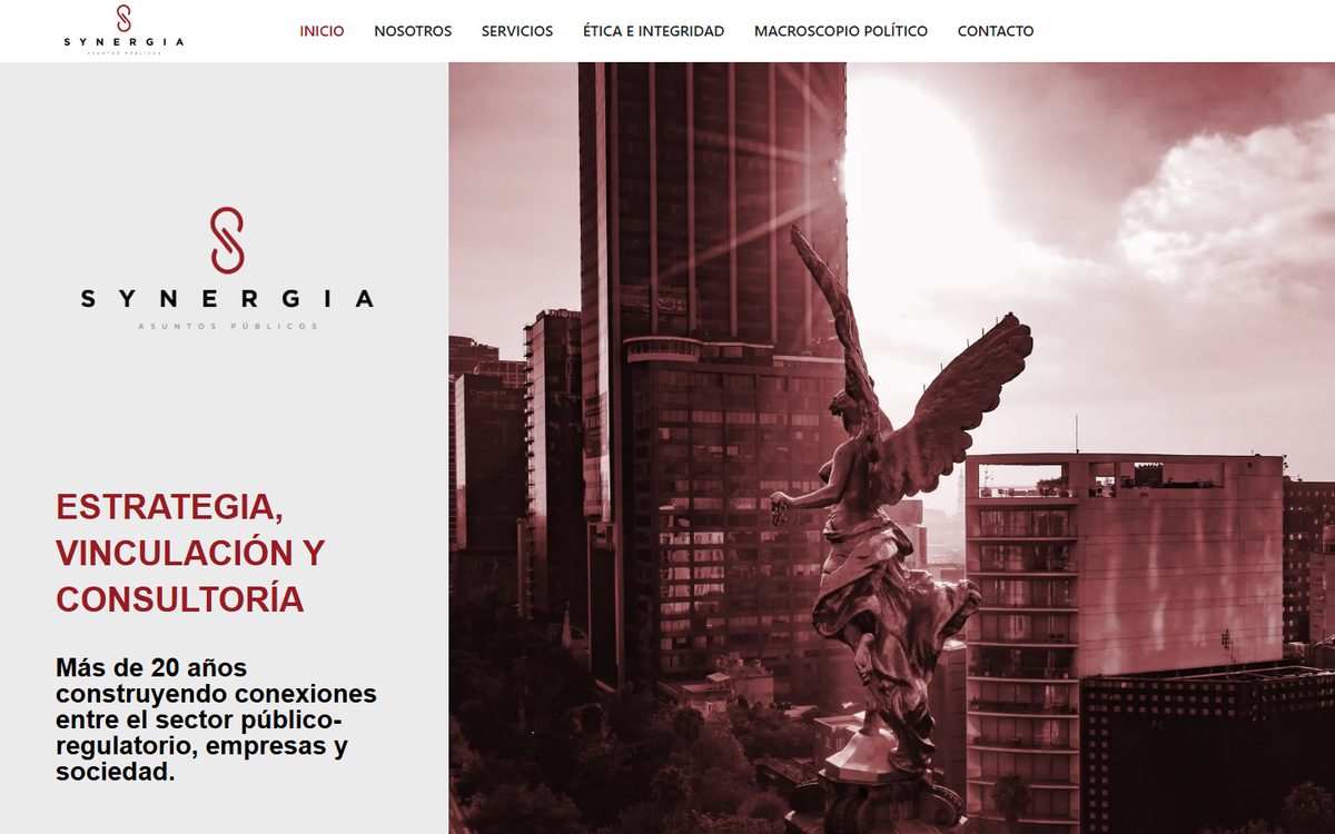 Synergia Pública homepage